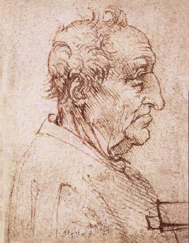 LEONARDO da Vinci Profile of an old man Germany oil painting art